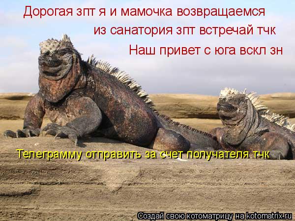 Дорогая зпт я и мамочка возвращаемся из санатория зпт встречай тчк Наш привет с юга вскл зн Телеграм... Котоматрица: Дорогая зпт я и мамочка возвращаемся из санатория зпт встречай тчк Наш привет с юга вскл зн Телеграмму отправить за счет получателя тчк