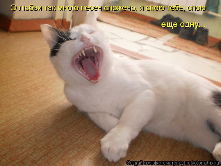 О любви так много песен сложено, я спою тебе, спою еще одну...... Котоматрица: О любви так много песен сложено, я спою тебе, спою еще одну...