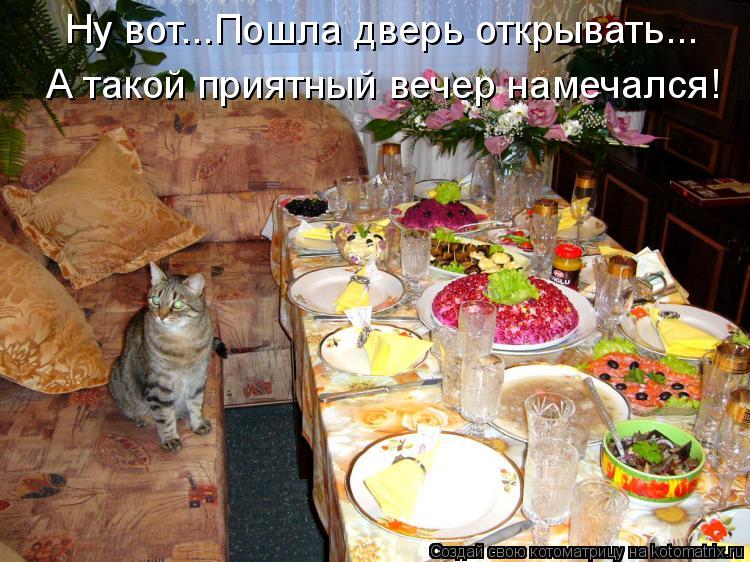 Котоматрица: Ну вот...Пошла дверь открывать... А такой приятный вечер намечался!