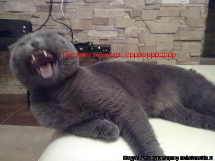 Где моя сосиска--рррррррррррр... Котоматрица: Где моя сосиска--рррррррррррр