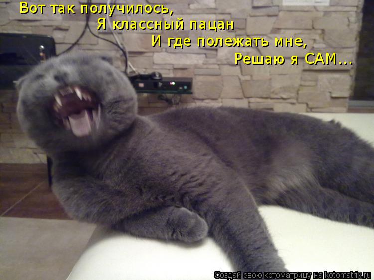 Вот так получилось, И где полежать мне, Решаю я САМ... Я классный пацан... Котоматрица: Вот так получилось, И где полежать мне, Решаю я САМ... Я классный пацан