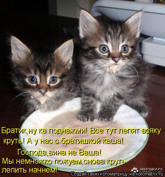 Братик,ну ка поднажми! Все тут лепят всяку круть! А у нас с братишкой каша! Господа,вина не Ваша! М... Котоматрица: Братик,ну ка поднажми! Все тут лепят всяку круть! А у нас с братишкой каша! Господа,вина не Ваша! Мы немножко пожуем,снова круть лепить начн