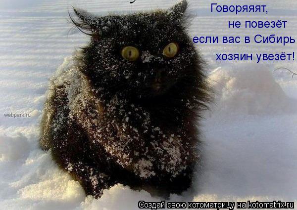 Говоряяят, не повезёт если вас в Сибирь хозяин увезёт!... Котоматрица: Говоряяят, не повезёт если вас в Сибирь хозяин увезёт!