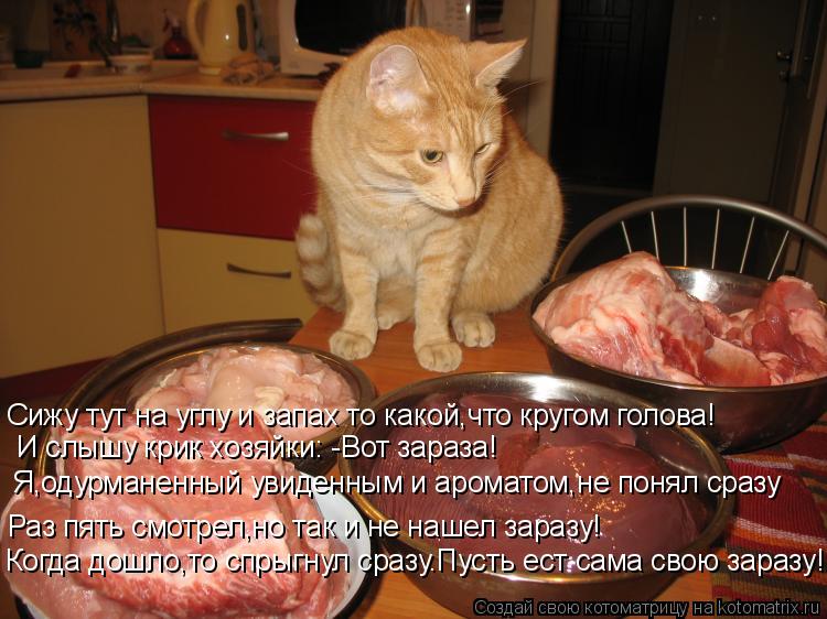 И слышу крик хозяйки: -Вот зараза! Я,одурманенный увиденным и ароматом,не понял сразу Раз пять смотре... Котоматрица: И слышу крик хозяйки: -Вот зараза! Я,одурманенный увиденным и ароматом,не понял сразу Раз пять смотрел,но так и не нашел заразу! Сижу тут на у