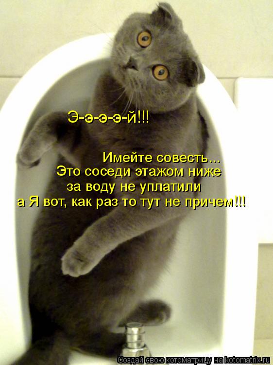 Э-э-э-э-й!!! Имейте совесть... Это соседи этажом ниже за воду не уплатили а Я вот, как раз то тут не ... Котоматрица: Э-э-э-э-й!!! Имейте совесть... Это соседи этажом ниже за воду не уплатили а Я вот, как раз то тут не причем!!!