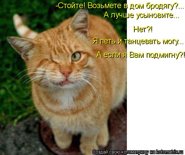 Нет?! Я петь и танцевать могу... А если я Вам подмигну?! -Стойте! Возьмете в дом бродягу?... А лучше ... Котоматрица: Нет?! Я петь и танцевать могу... А если я Вам подмигну?! -Стойте! Возьмете в дом бродягу?... А лучше усыновите...
