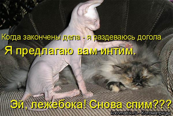 Когда закончены дела - я раздеваюсь догола. Я предлагаю вам интим. Эй, лежебока! Снова спим???... Котоматрица: Когда закончены дела - я раздеваюсь догола. Я предлагаю вам интим. Эй, лежебока! Снова спим???