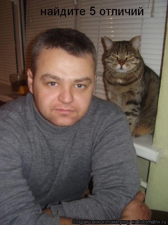найдите 5 отличий... Котоматрица: найдите 5 отличий