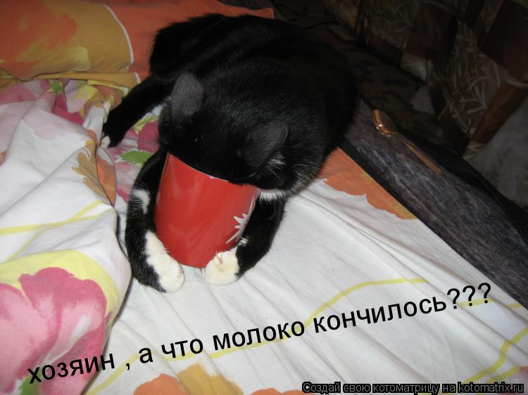 хозяин , а что молоко кончилось???... Котоматрица: хозяин , а что молоко кончилось???