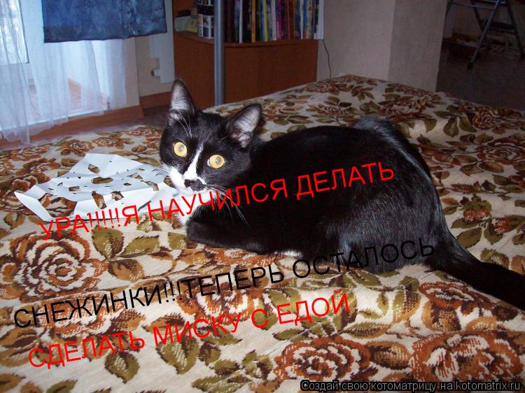 СНЕЖИНКИ!!!ТЕПЕРЬ ОСТАЛОСЬ УРА!!!!!Я НАУЧИЛСЯ ДЕЛАТЬ СДЕЛАТЬ МИСКУ С ЕДОЙ... Котоматрица: СНЕЖИНКИ!!!ТЕПЕРЬ ОСТАЛОСЬ УРА!!!!!Я НАУЧИЛСЯ ДЕЛАТЬ СДЕЛАТЬ МИСКУ С ЕДОЙ