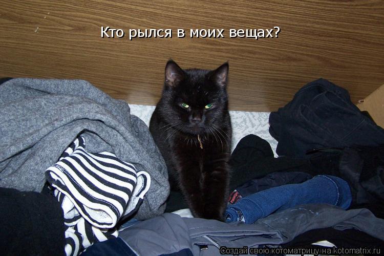 Кто рылся в моих вещах?... Котоматрица: Кто рылся в моих вещах?
