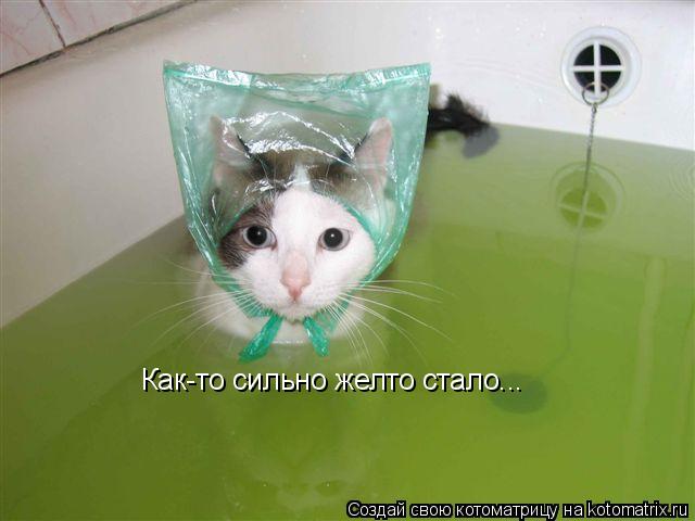 Как-то сильно желто стало...... Котоматрица: Как-то сильно желто стало...