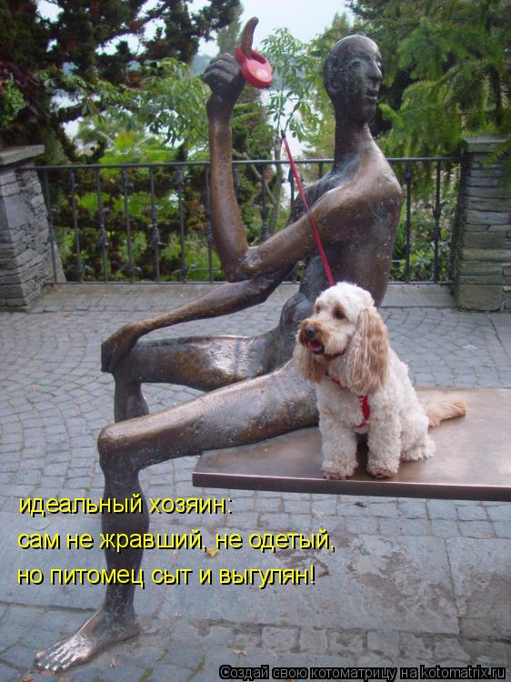 идеальный хозяин: сам не жравший, не одетый, но питомец сыт и выгулян!... Котоматрица: идеальный хозяин: сам не жравший, не одетый, но питомец сыт и выгулян!