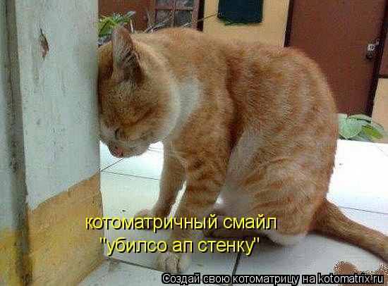 котоматричный смайл "убилсо ап стенку"... Котоматрица: котоматричный смайл "убилсо ап стенку"