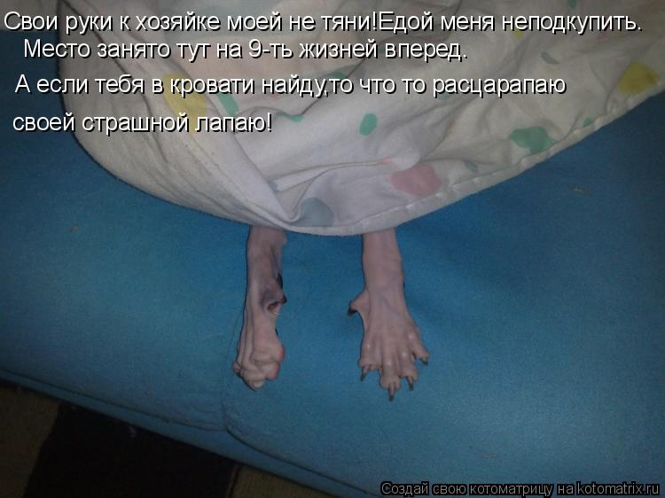 Место занято тут на 9-ть жизней вперед. Свои руки к хозяйке моей не тяни!Едой меня неподкупить. А есл... Котоматрица: Место занято тут на 9-ть жизней вперед. Свои руки к хозяйке моей не тяни!Едой меня неподкупить. А если тебя в кровати найду,то что то расцарап