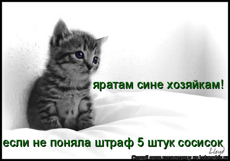яратам сине хозяйкам! если не поняла штраф 5 штук сосисок... Котоматрица: яратам сине хозяйкам! если не поняла штраф 5 штук сосисок