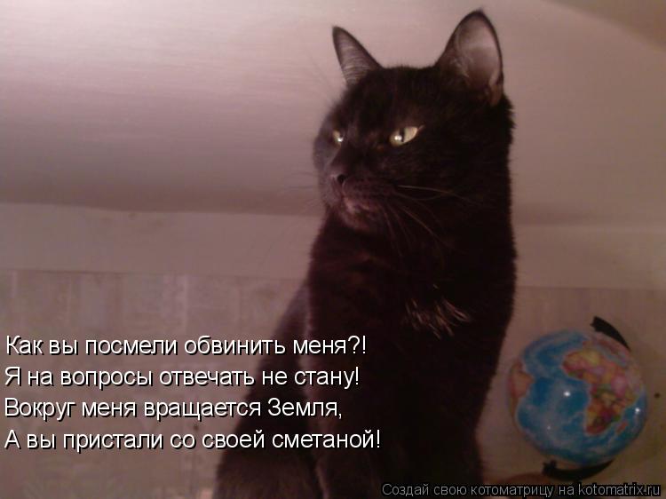 Котоматрица: Как вы посмели обвинить меня?! Я на вопросы отвечать не стану! Вокруг меня вращается Земля, А вы пристали со своей сметаной!
