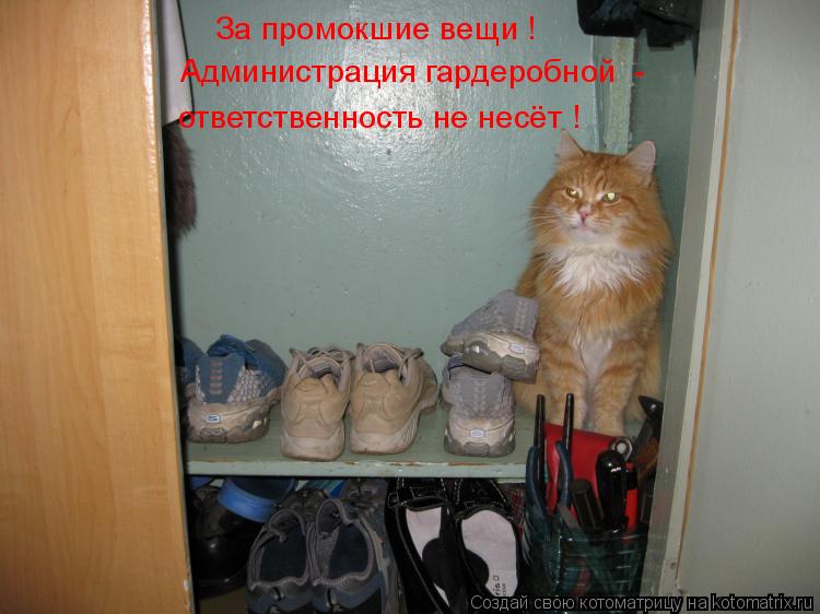 За промокшие вещи ! Администрация гардеробной - ответственность не несёт !... Котоматрица: За промокшие вещи ! Администрация гардеробной - ответственность не несёт !