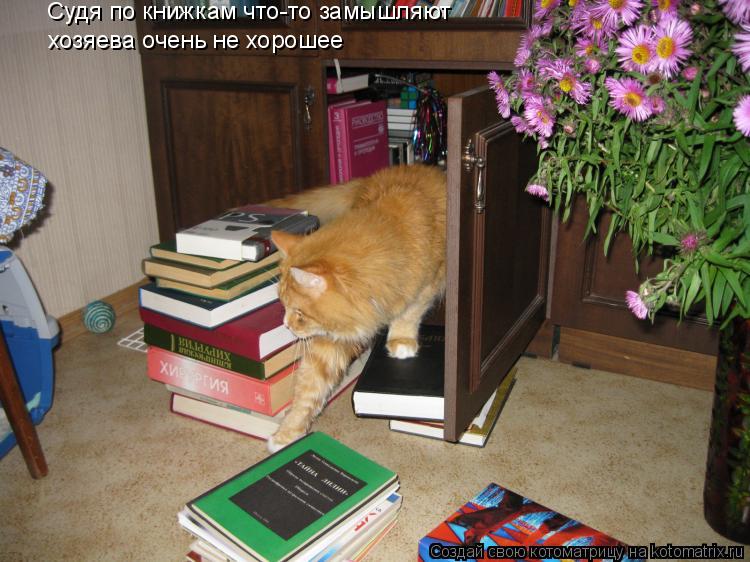 Судя по книжкам что-то замышляют хозяева очень не хорошее... Котоматрица: Судя по книжкам что-то замышляют хозяева очень не хорошее
