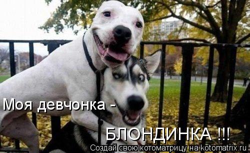 Моя девчонка - БЛОНДИНКА !!!... Котоматрица: Моя девчонка - БЛОНДИНКА !!!