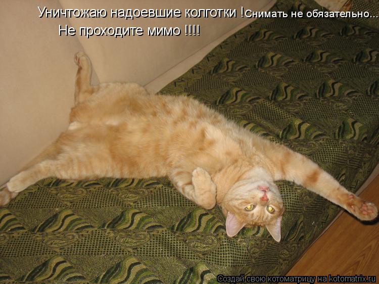 Уничтожаю надоевшие колготки ! Не проходите мимо !!!! Снимать не обязательно...... Котоматрица: Уничтожаю надоевшие колготки ! Не проходите мимо !!!! Снимать не обязательно...