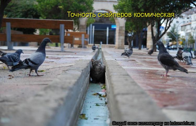 Точность снайперов космическая... Котоматрица: Точность снайперов космическая