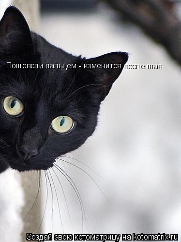 Пошевели пальцем - изменится вселенная... Котоматрица: Пошевели пальцем - изменится вселенная