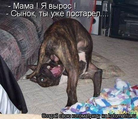- Мама ! Я вырос ! - Сынок, ты уже постарел....... Котоматрица: - Мама ! Я вырос ! - Сынок, ты уже постарел....