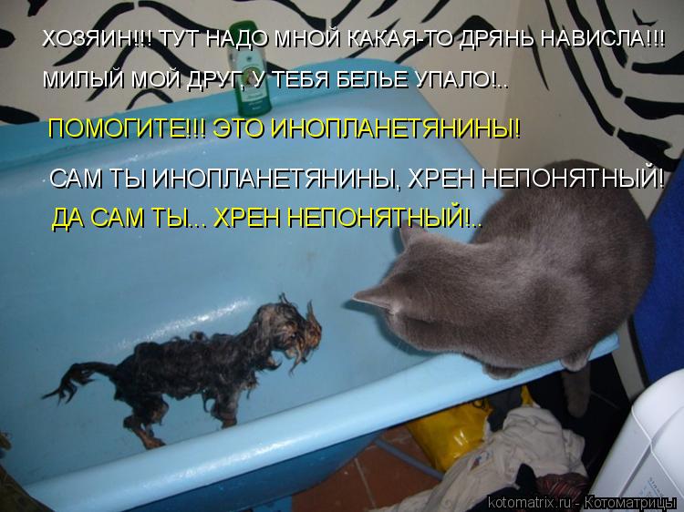 ХОЗЯИН!!! ТУТ НАДО МНОЙ КАКАЯ-ТО ДРЯНЬ НАВИСЛА!!! МИЛЫЙ МОЙ ДРУГ, У ТЕБЯ БЕЛЬЕ УПАЛО!.. ПОМОГИТЕ!!! Э... Котоматрица: ХОЗЯИН!!! ТУТ НАДО МНОЙ КАКАЯ-ТО ДРЯНЬ НАВИСЛА!!! МИЛЫЙ МОЙ ДРУГ, У ТЕБЯ БЕЛЬЕ УПАЛО!.. ПОМОГИТЕ!!! ЭТО ИНОПЛАНЕТЯНИНЫ! САМ ТЫ ИНОПЛАНЕТЯНИНЫ, ХР