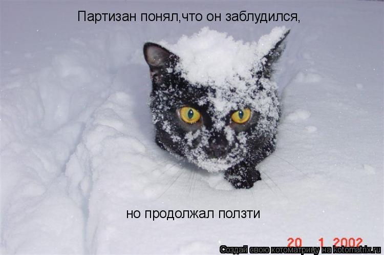 Партизан понял,что он заблудился, но продолжал ползти... Котоматрица: Партизан понял,что он заблудился, но продолжал ползти