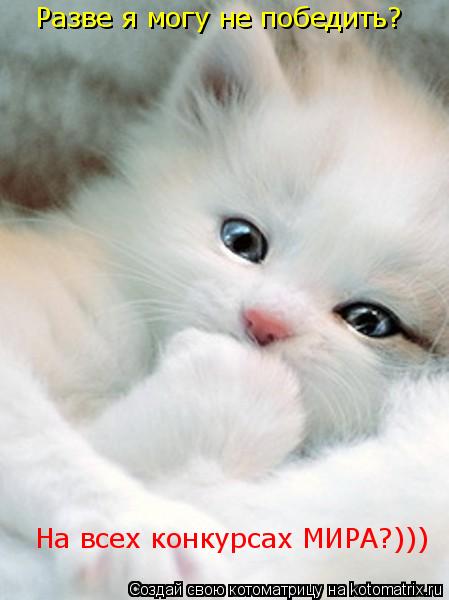 Разве я могу не победить? На всех конкурсах МИРА?)))... Котоматрица: Разве я могу не победить? На всех конкурсах МИРА?)))