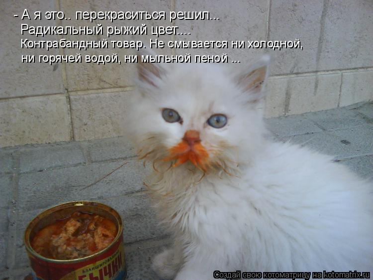 - А я это.. перекраситься решил... Радикальный рыжий цвет.... Контрабандный товар. Не смывается ни хо... Котоматрица: - А я это.. перекраситься решил... Радикальный рыжий цвет.... Контрабандный товар. Не смывается ни холодной, ни горячей водой, ни мыльной пеной