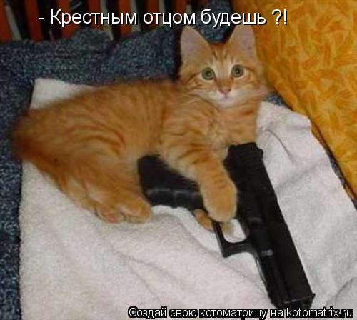 - Крестным отцом будешь ?!... Котоматрица: - Крестным отцом будешь ?!