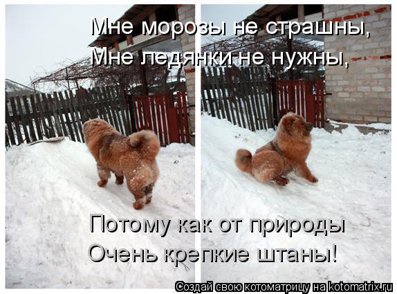 Мне морозы не страшны, Мне ледянки не нужны, Потому как от природы Очень крепкие штаны!... Котоматрица: Мне морозы не страшны, Мне ледянки не нужны, Потому как от природы Очень крепкие штаны!