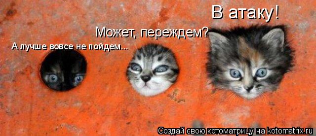 В атаку! Может, переждем? А лучше вовсе не пойдем...... Котоматрица: В атаку! Может, переждем? А лучше вовсе не пойдем...