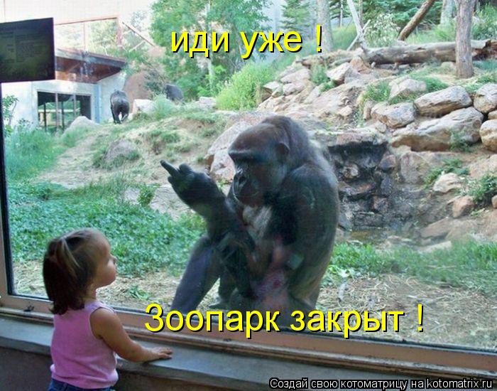 иди уже ! Зоопарк закрыт !... Котоматрица: иди уже ! Зоопарк закрыт !