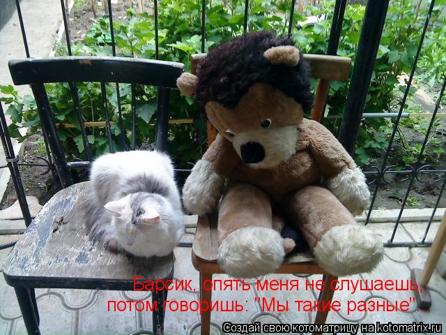 Барсик, опять меня не слушаешь, потом говоришь: "Мы такие разные"...... Котоматрица: Барсик, опять меня не слушаешь, потом говоришь: "Мы такие разные"...