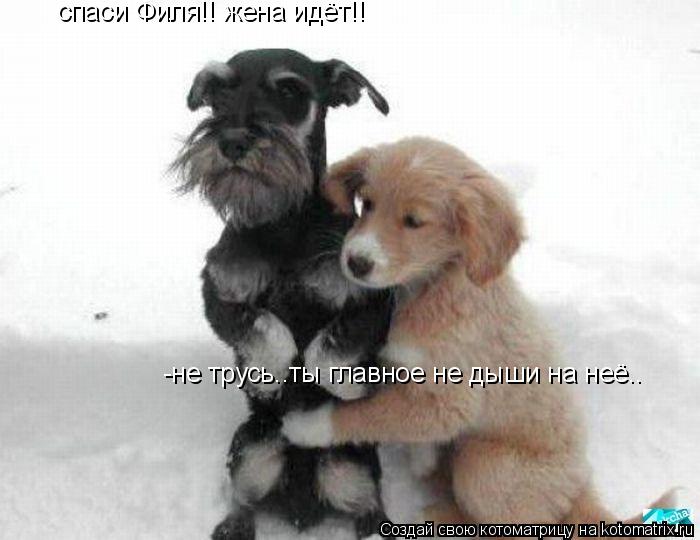 спаси Филя!! жена идёт!! -не трусь..ты главное не дыши на неё..... Котоматрица: спаси Филя!! жена идёт!! -не трусь..ты главное не дыши на неё..