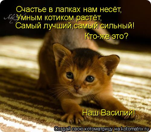 Счастье в лапках нам несёт, Умным котиком растёт, Самый лучший,самый сильный! Кто-же это? Наш Василий... Котоматрица: Счастье в лапках нам несёт, Умным котиком растёт, Самый лучший,самый сильный! Кто-же это? Наш Василий!