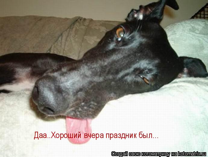 Даа..Хороший вчера праздник был...... Котоматрица: Даа..Хороший вчера праздник был...