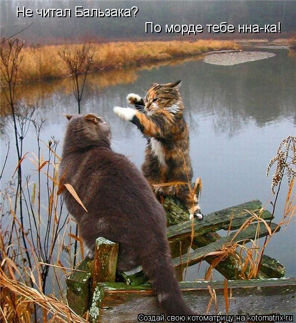 Котоматрица: Не читал Бальзака? По морде тебе нна-ка!