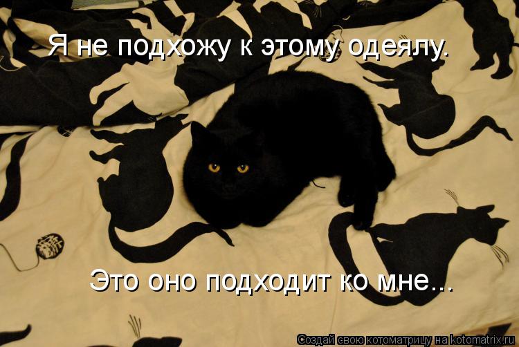 Котоматрица: Я не подхожу к этому одеялу. Это оно подходит ко мне...