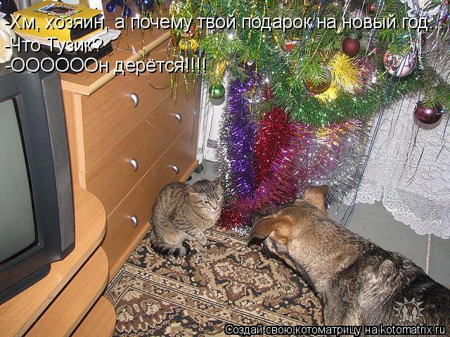 Котоматрица: -Хм, хозяин, а почему твой подарок на новый год... -Что Тузик? -ООООООн дерётся!!!!