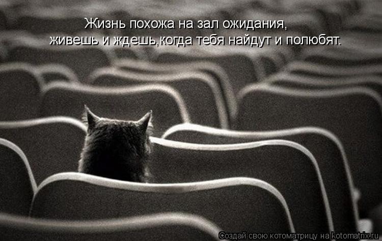 Жизнь похожа на зал ожидания, живешь и ждешь,когда тебя найдут и полюбят.... Котоматрица: Жизнь похожа на зал ожидания, живешь и ждешь,когда тебя найдут и полюбят.