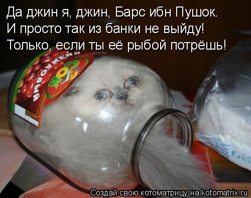 Котоматрица: Да джин я, джин, Барс ибн Пушок. И просто так из банки не выйду! Только, если ты её рыбой потрёшь!