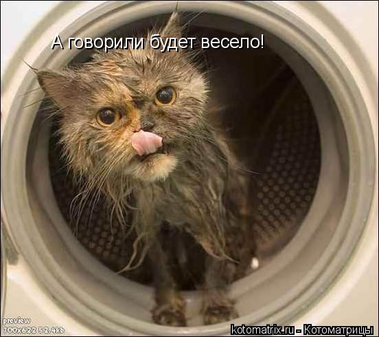 Котоматрица: А говорили будет весело!
