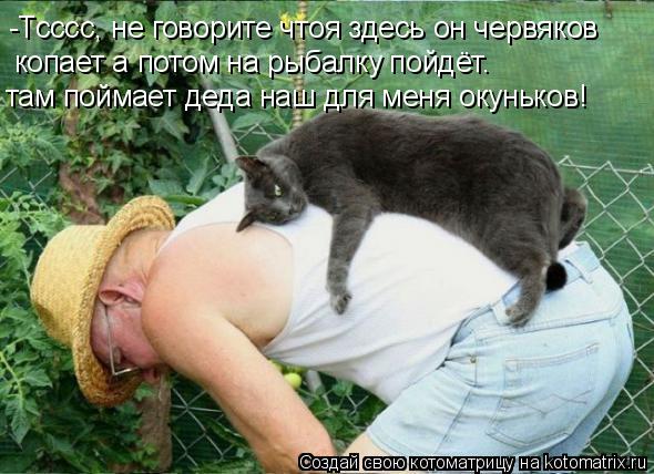 Котоматрица: -Тсссс, не говорите чтоя здесь он червяков копает а потом на рыбалку пойдёт. там поймает деда наш для меня окуньков!