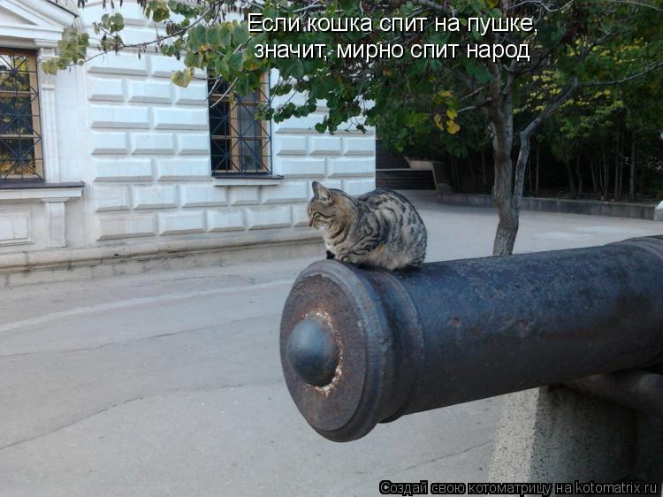 Котоматрица: значит, мирно спит народ Если кошка спит на пушке,