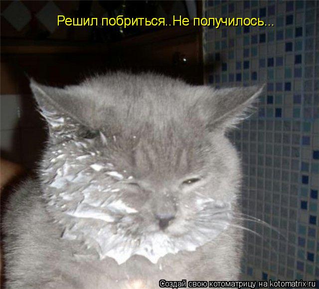 Котоматрица: Решил побриться..Не получилось...  Решил побриться..Не получилось...