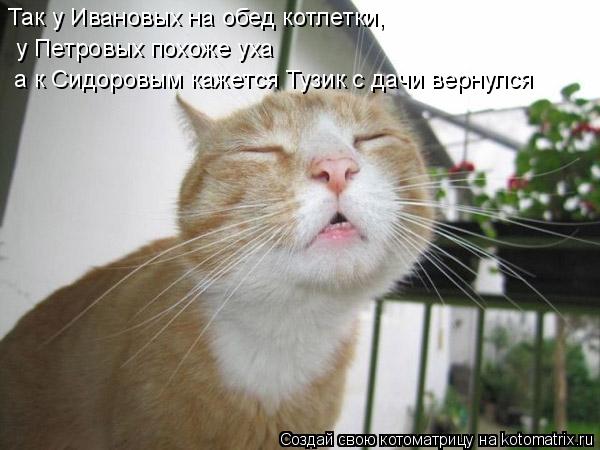 Котоматрица: у Петровых похоже уха а к Сидоровым кажется Тузик с дачи вернулся Так у Ивановых на обед котлетки,